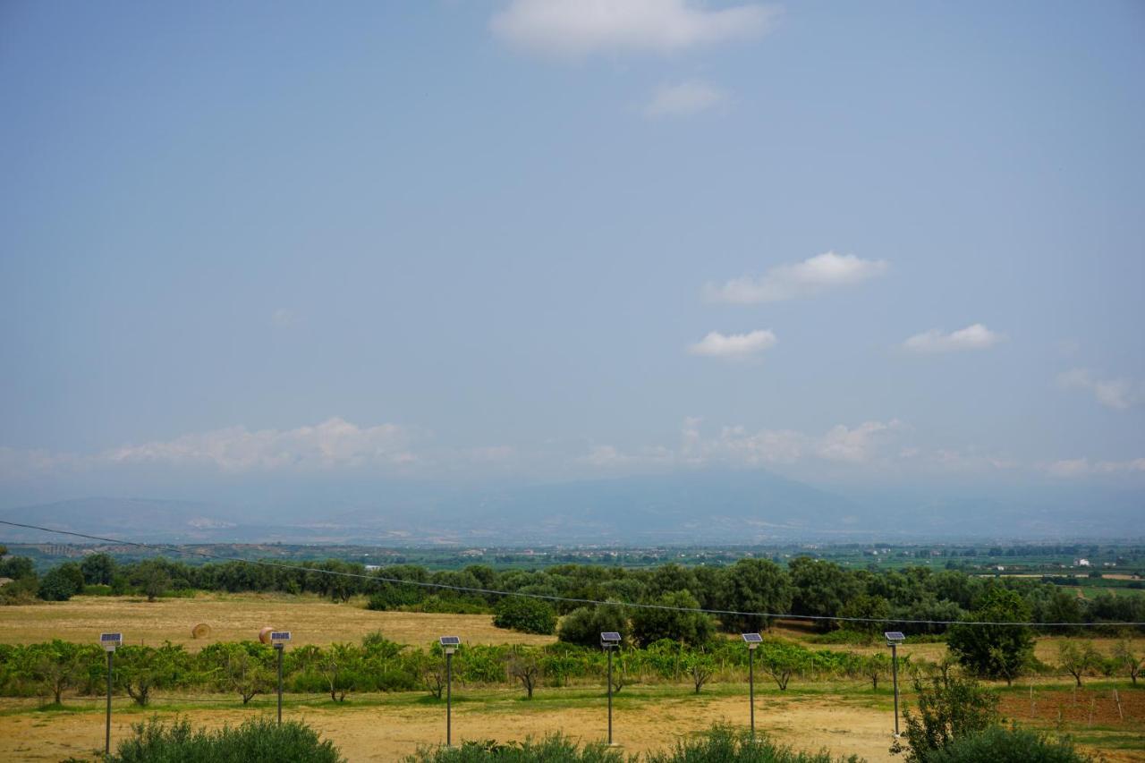 Agriturismo Casacchella Marina di Sibari Εξωτερικό φωτογραφία