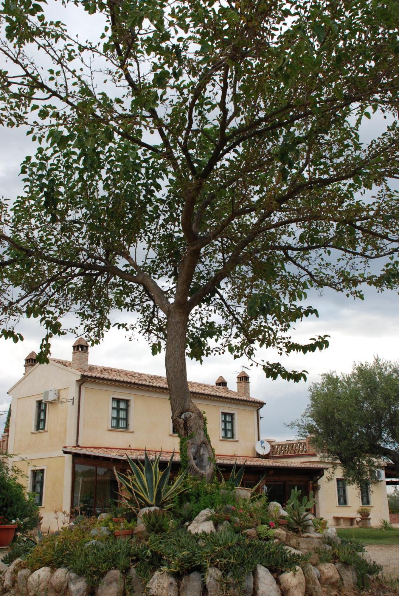 Agriturismo Casacchella Marina di Sibari Δωμάτιο φωτογραφία
